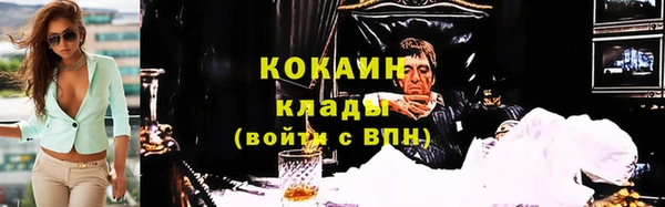 тгк Алзамай