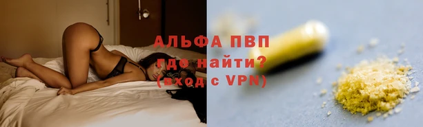 тгк Алзамай