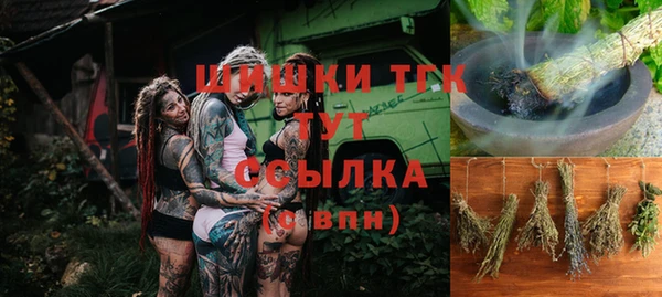 бошки Алексин