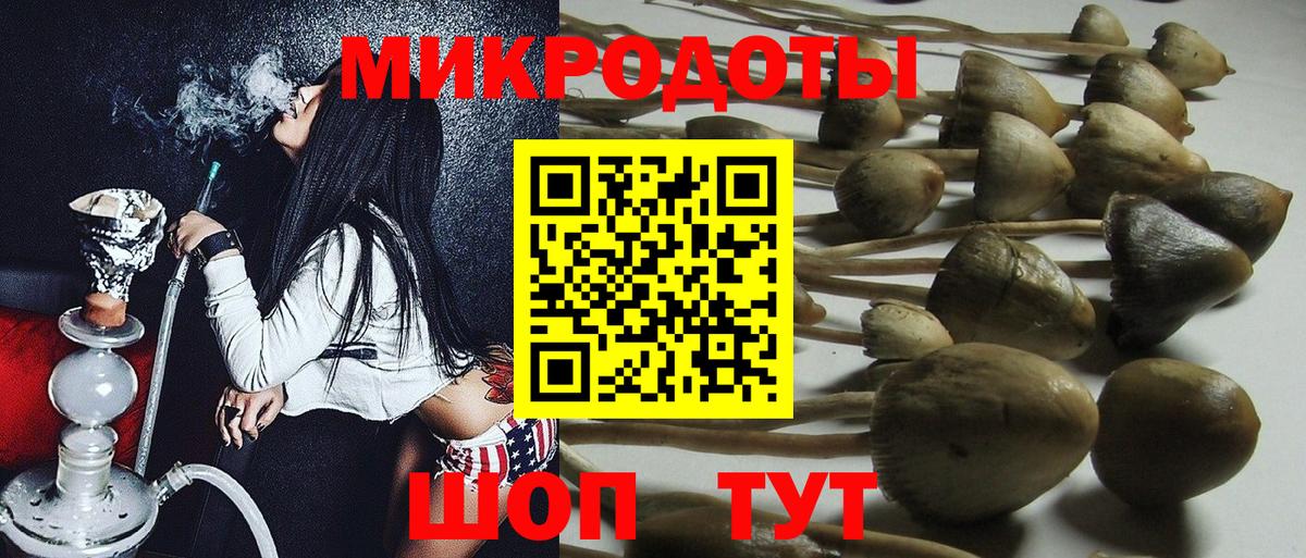 закладки  Псилоцибиновые грибы Psilocybine cubensis  Вход с VPN  Братск 